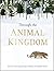 Through the Animal Kingdom:...