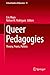 Queer Pedagogies: Theory, Praxis, Politics (Critical Studies of Education Book 11)