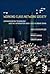 Working-Class Network Society: Communication Technology and the Information Have-Less in Urban China (Information Revolution and Global Politics)