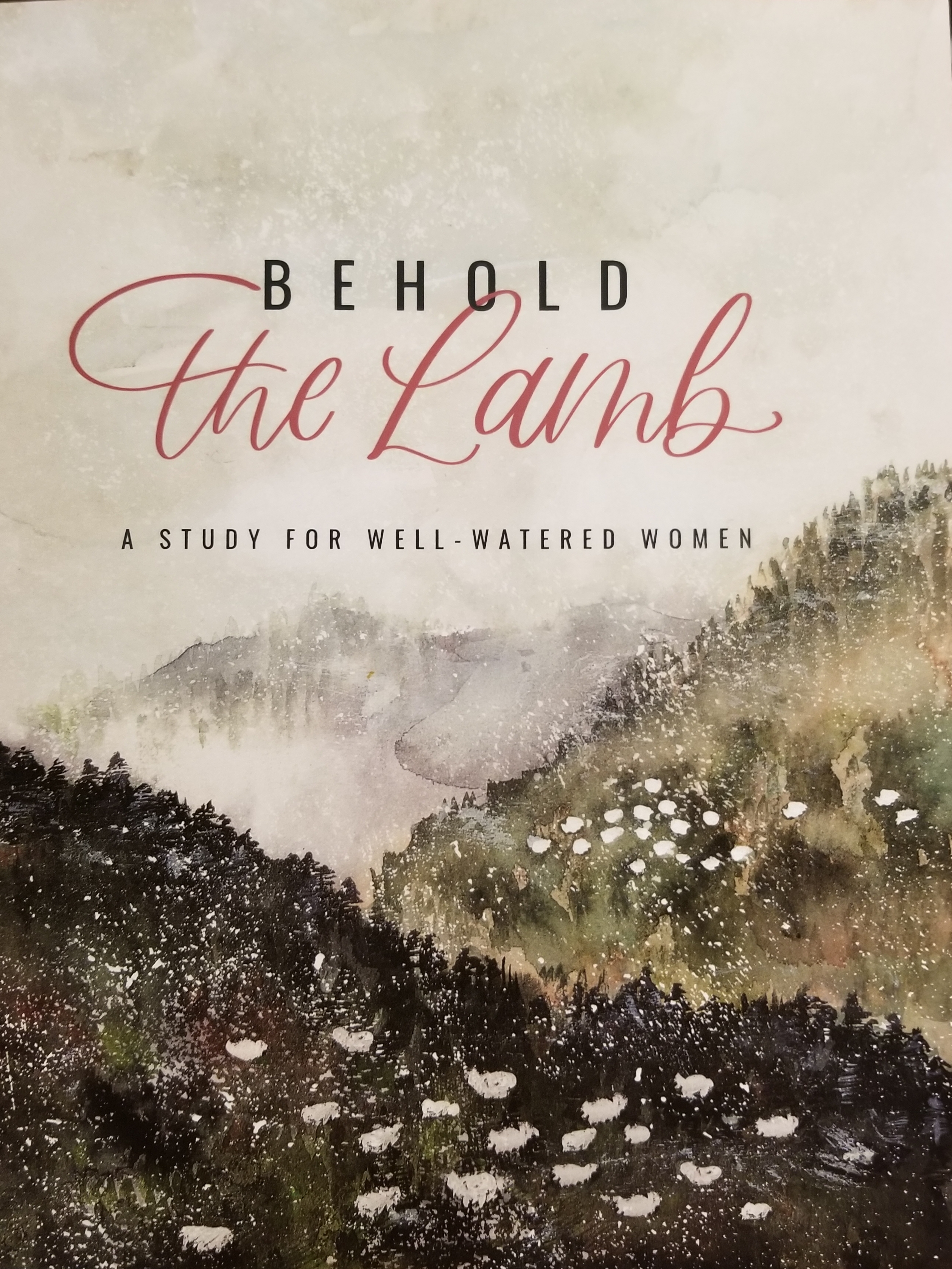 Behold the Lamb: An Advent Study