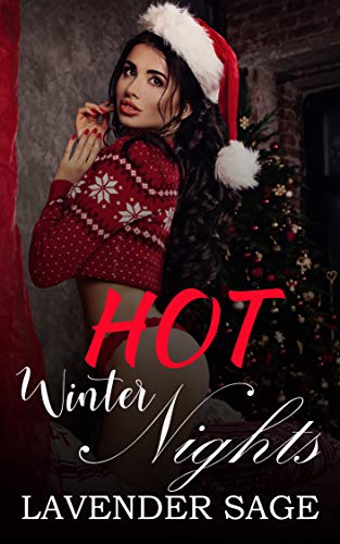 Hot Winter Nights: Collection of four steamy Christmas romance stories (Kindle Edition)