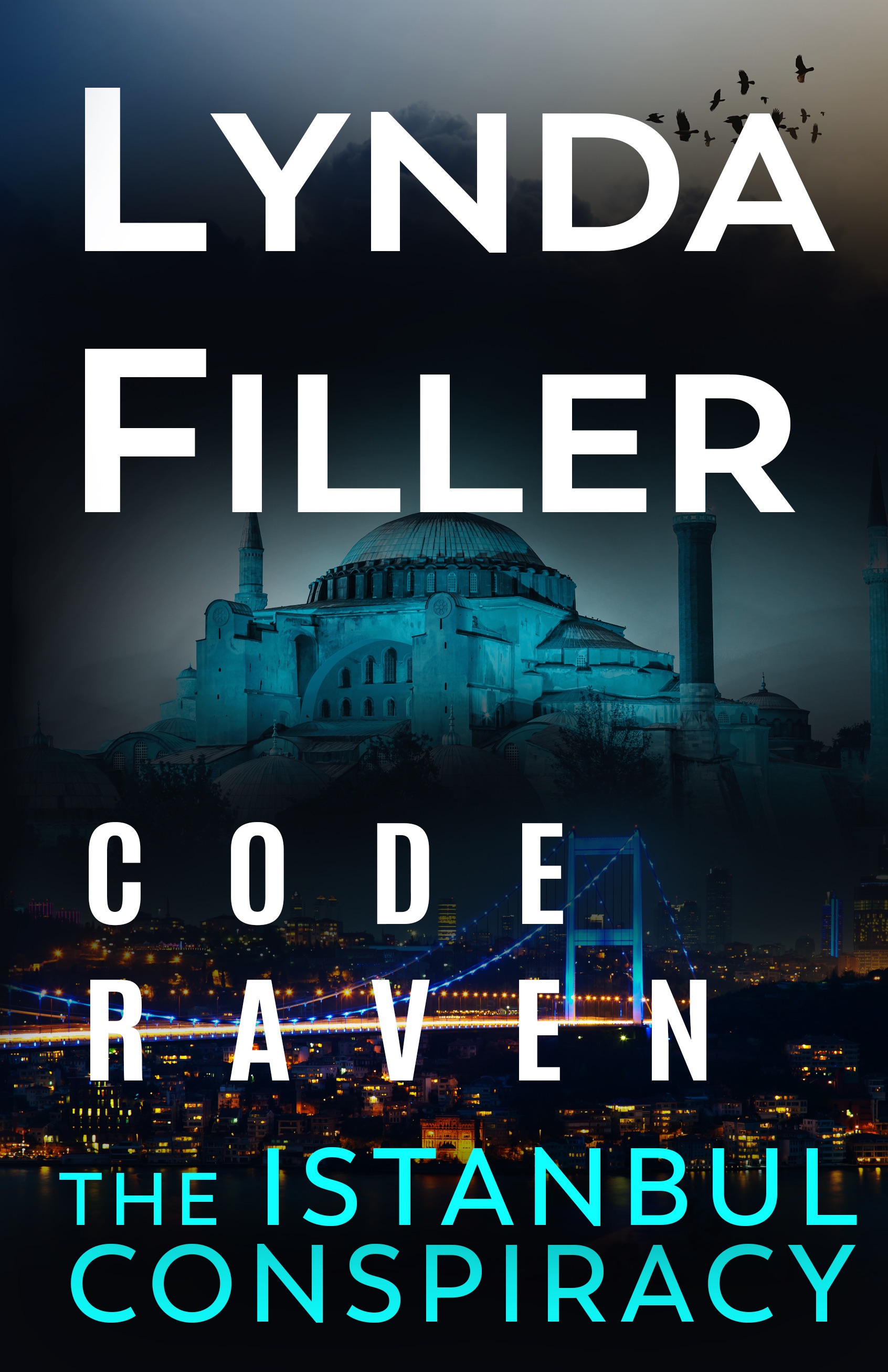 The Istanbul Conspiracy (Code Raven #7)
