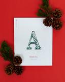 Advent 2019: A Thrill of Hope (Paperback)