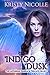 Indigo Dusk (The Aetherial Embrace Trilogy #1)