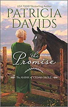 The Promise (Kindle Edition)