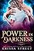 Power in Darkness (Supernatural Community, #2)