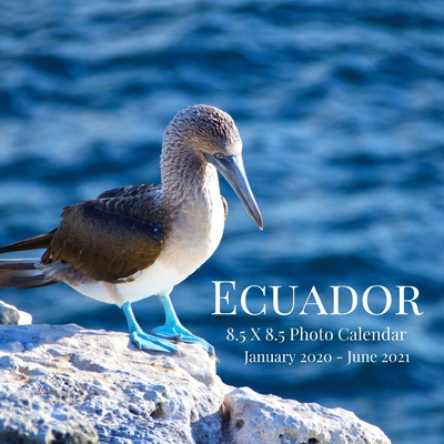 Ecuador 8.5 X 8.5 Photo Calendar January 2020 - June 2021: 18 Monthly Mini Picture Book Cute 2020-2021 Year Blank At A Glance Monthly Colorful Desk Wall Page Planner 2 Years Yearly Overview Large 18 Months Engagement Nature Landscape Country Theme.