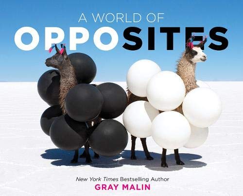 A World of Opposites (Hardcover)