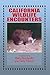 California Wildlife Encounters