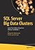 SQL Server 2019 Big Data Cl...