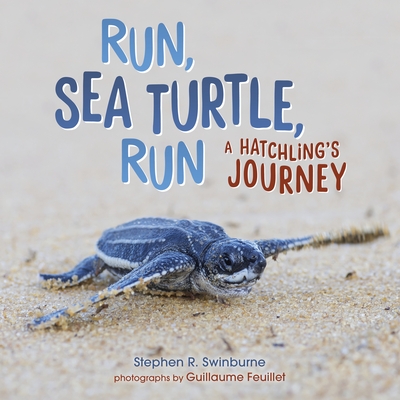 Run, Sea Turtle, Run: A Hatchling's Journey (ebook)