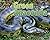 Green Anaconda (Apex Predators of the Amazon Rain Forest)