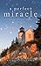 A Perfect Miracle (Jacobs Landing #1)