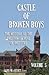 Castle of Broken Boys Volume 5 by Gary W Stout