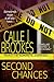 Second Chances (PAVAD: FBI Romantic Suspense, #3-4)