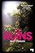 The Ruins by Mat Osman