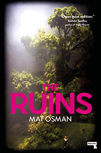 The Ruins (Kindle Edition)