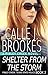 Shelter from the Storm (Fin...