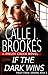 If the Dark Wins (Finley Cr...