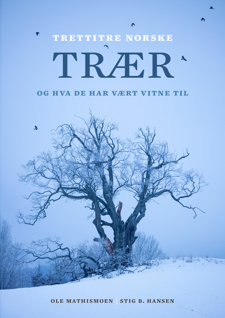 Trettitre norske trær og hva de har vært vitne til (Hardcover)