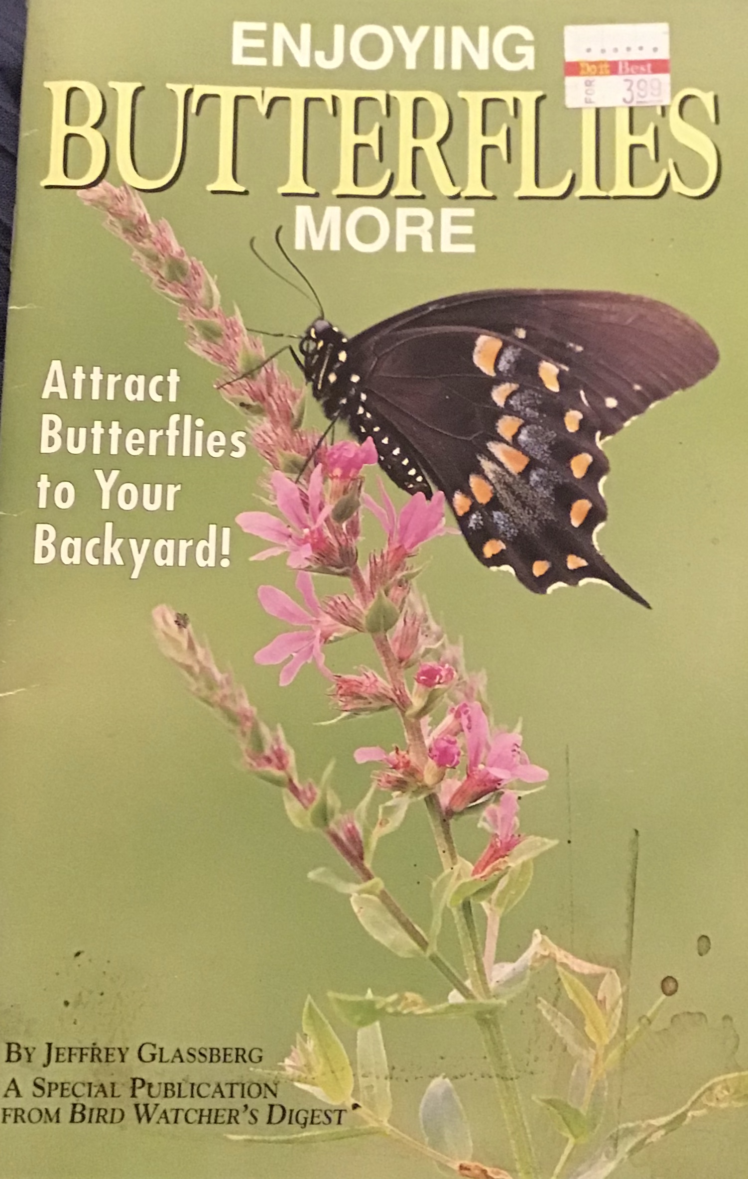 Enjoying Butterflies More (Paperback)