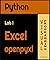 Python Lab1 Excel openpyxl: Visual Programming