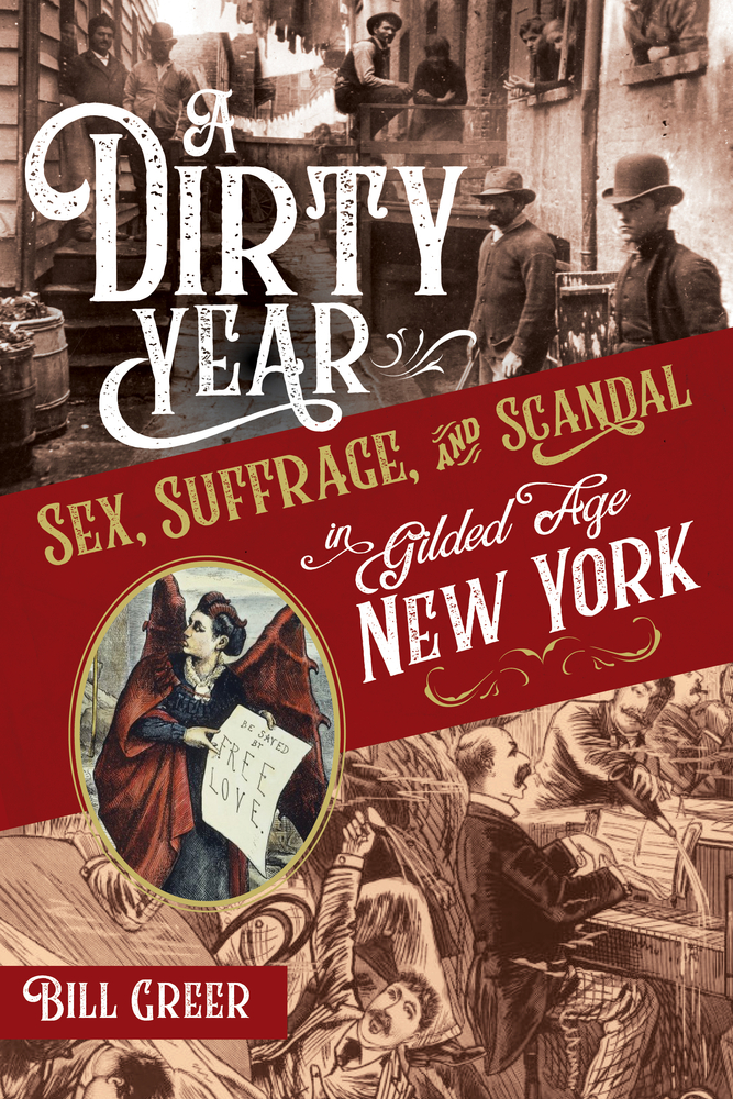 A Dirty Year: Sex, Suffrage, and Scandal in Gilded Age New York (Hardcover)