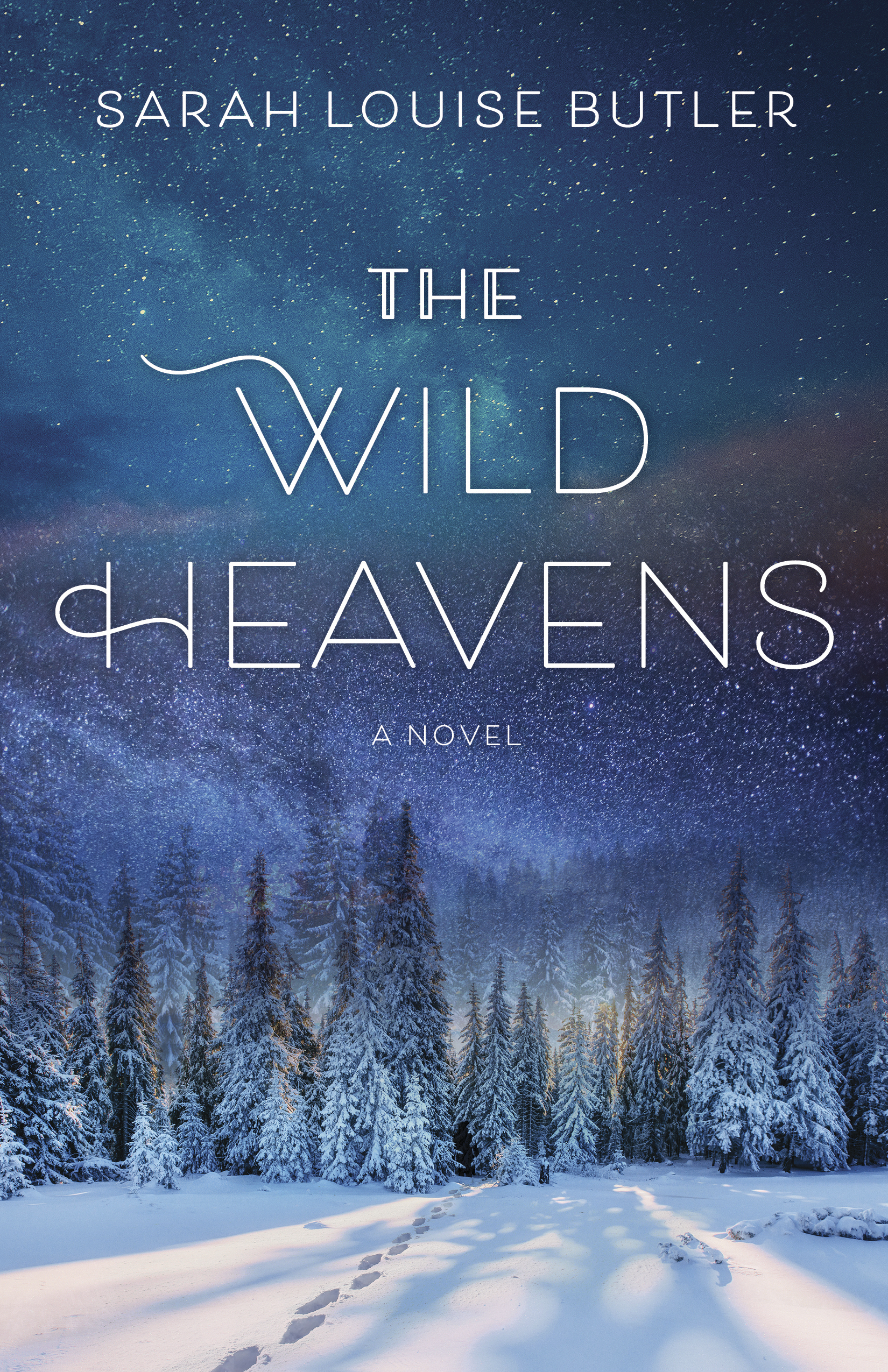 The Wild Heavens (Paperback)