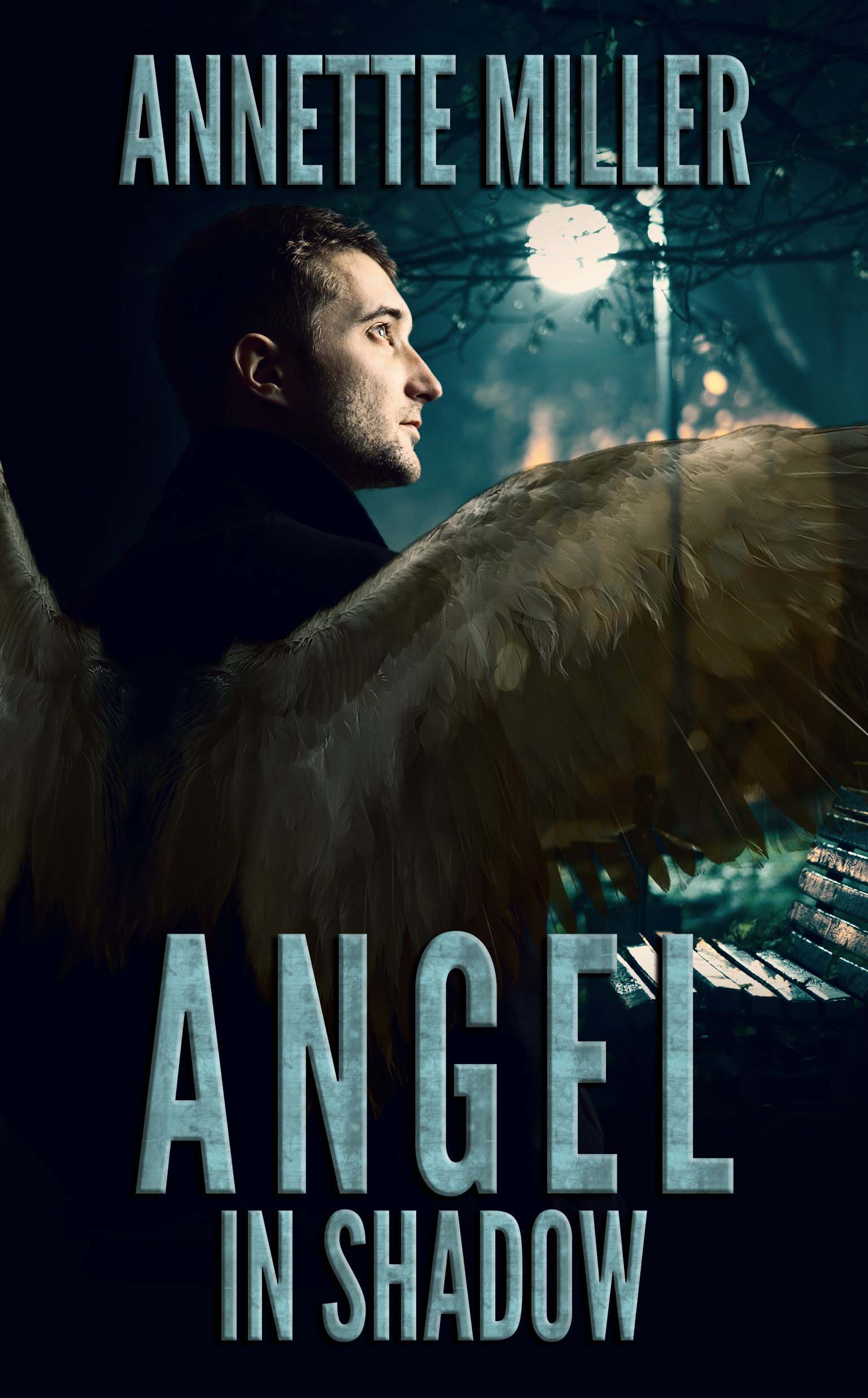 Angel in Shadow (Angel Haven, #4)