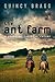 the ant farm A Novel of the Near Future by Quincy Bragg