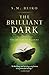 The Brilliant Dark: Poems (Realms of Ancient Book 3)