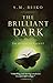 The Brilliant Dark: The Realms of Ancient, Book 3