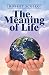 The Meaning of Life by Robert Scollo