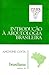 Introdução à arqueologia brasileira: (etnografia e história)