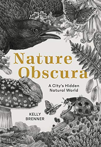 Nature Obscura: A City's Hidden Natural World (Paperback)