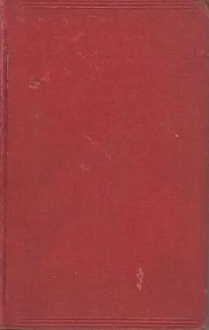 Sunny Life of an Invalid: Twenty-Five Years of Sickness, Fourteen Sunny Years in Bed (Hardcover)