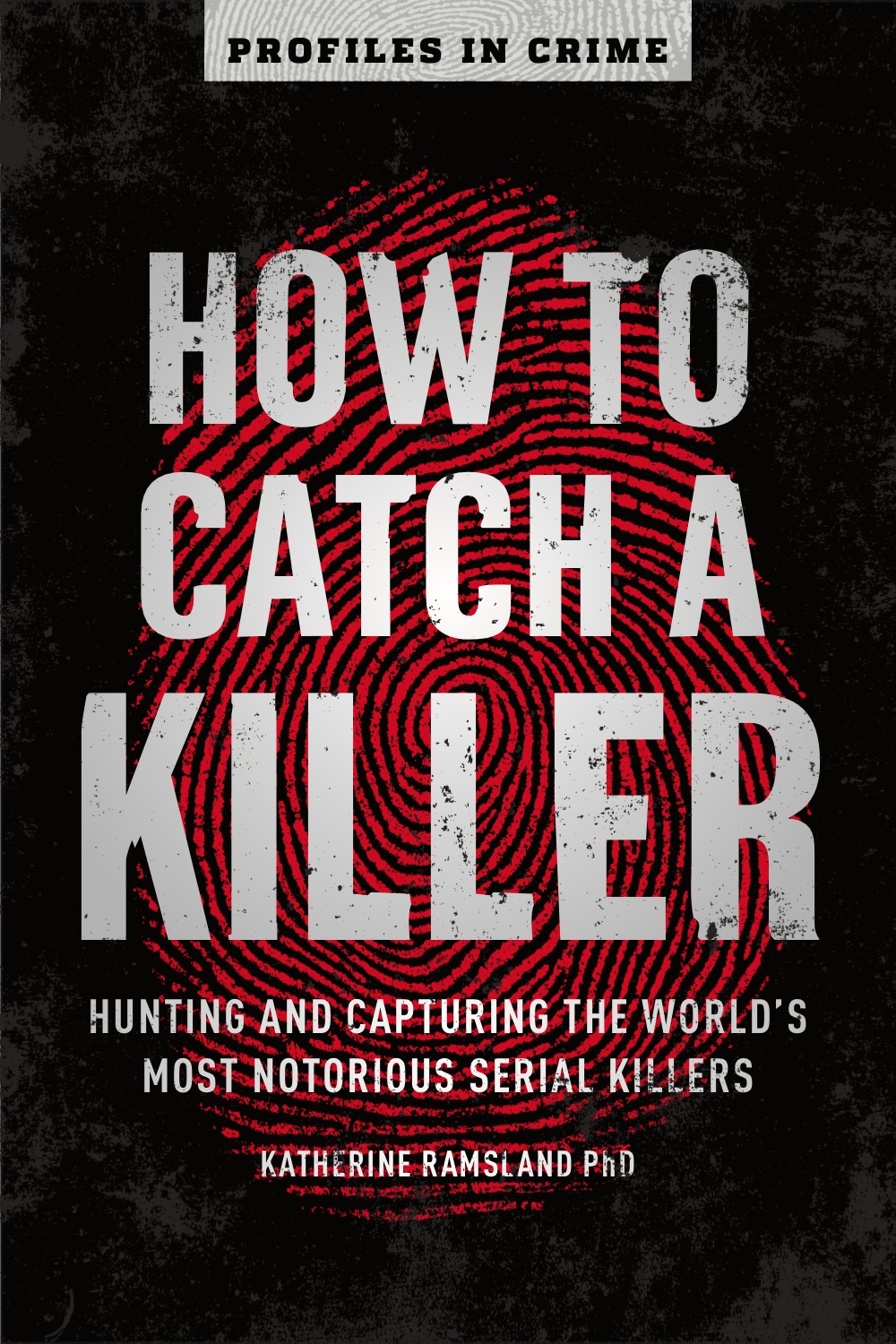 How to Catch a Killer: Hunting and Capturing the World's Most Notorious Serial Killers (Paperback)