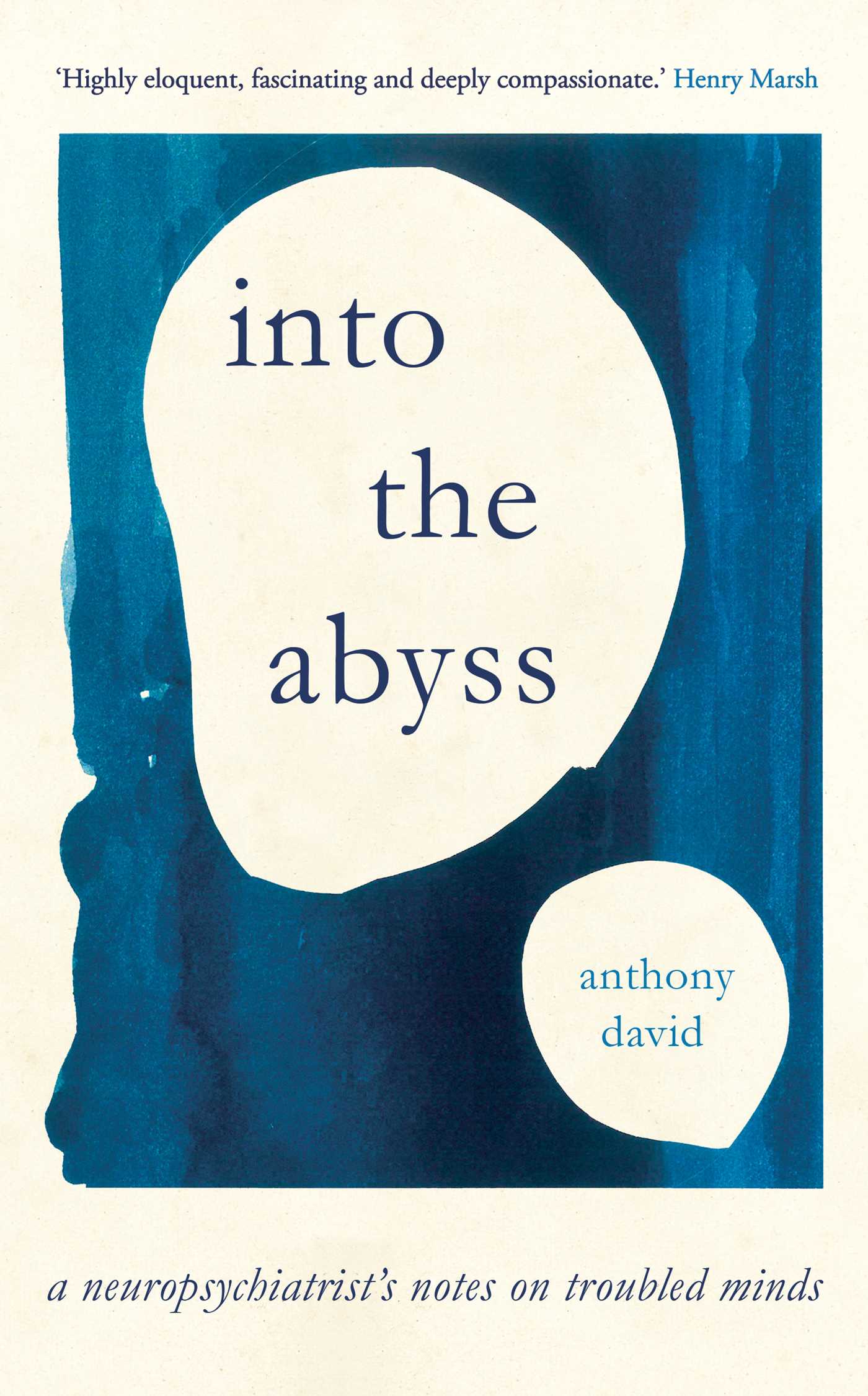 Into the Abyss: A Neuropsychiatrist's Notes on Troubled Minds (Hardcover)