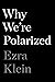 Image for Why We're Polarized