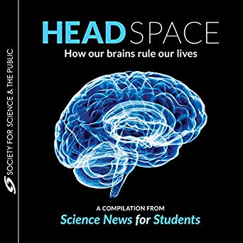 Head Space: How Our Brains Rule Our Lives