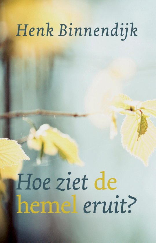 Hoe ziet de hemel eruit?