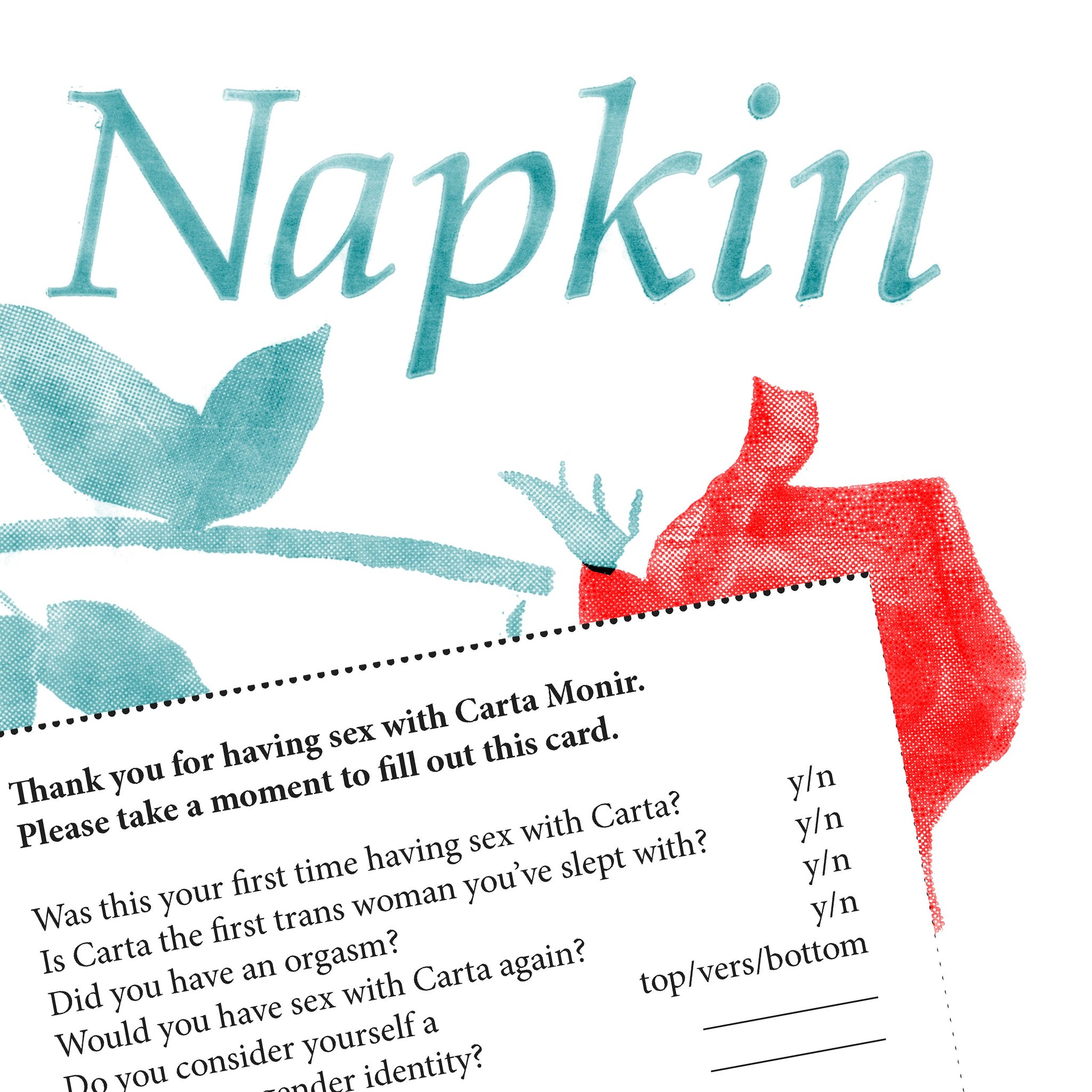 Napkin (ebook)