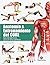 Anatomía & entrenamiento del CORE by Beatriz Villena Sánchez