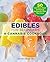 Edibles for Beginners: A Ca...