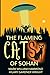 The Flaming Cats of Sohan