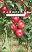 Galatians by Scripture Union Canada