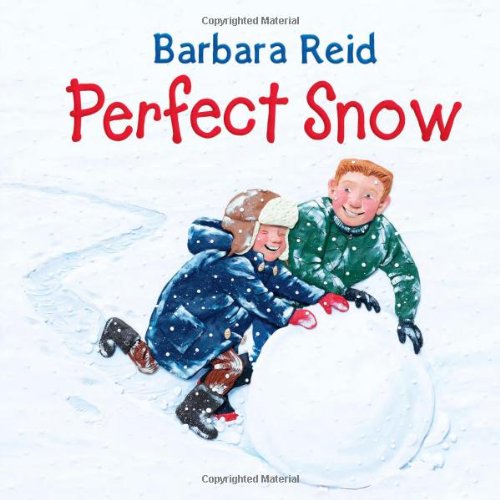 Perfect Snow (Hardcover)