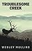 Troublesome Creek