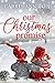 Our Christmas Promise by Carrie Ann Hope