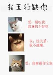 我五行缺你 (Web Novel)